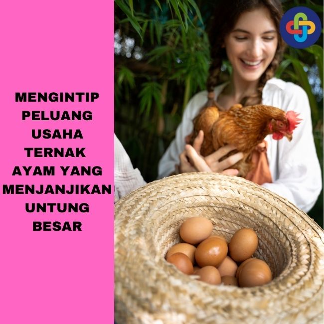 Peluang Usaha Ternak Ayam yang Menjanjikan